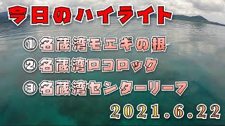 2021年6月22日のダイビングハイライト【石垣島】営業自粛明け一発目〜！！ベタ凪で最高！！！