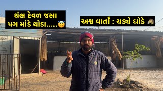 લોક વાર્તા : ચડ્યે ઘોડે | Jay Sakariya | Horse Video | Marwari Horse | Lok Varta | Lok Sahitya