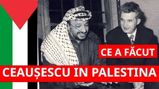 Ce Punea La Cale CEAUSESCU cu Organizația pentru Eliberarea Palestinei