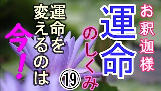 仏教版 運命のしくみ【第19話】運命を変えるのは今！