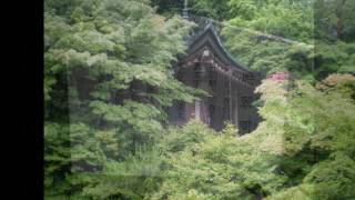 京都の新緑寺院　毘沙門堂