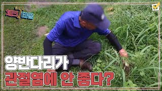 (충격) 우리가 자주 하는 양반다리가 관절염에 매우 안 좋은 자세다?! MBN 220912 방송