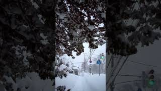 降り続ける雪_②  Snowing day ②