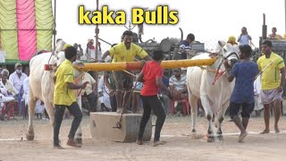 Madamanchipadu New category 4🏆 vijetha|| Kaka Bulls పోతిన లక్షిత్ చౌదరి గారు కొండపాటూరు గ్రామం