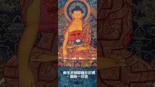 礼敬南无本师释迦牟尼佛 能除一切苦 #buddha