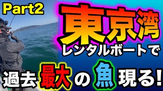 東京湾で怪物に遭遇！