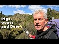 NZ 3 day survival challenge (DAY 1)