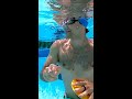 best swimming equipment for beginners