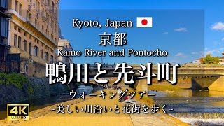 Stroll along the Kamo River and Pontocho in Kyoto, Japan | Kyoto Travel Guide [4K]