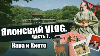 Японский VLOG. Часть 7 │Нара и Киото 🇯🇵