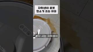 1인 자취생이 써 본 로봇청소기 555일 실사용 후기 #내돈내산