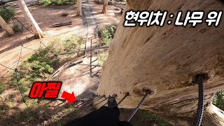 서호주에서 어딘가에서 높이 60m 나무 타기(호주 로드트립 1-8)