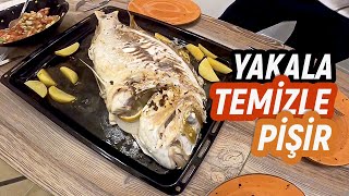 Yok böyle bir lezzet! Fırında Antenli Mercan (Fangri) (Catch - Clean - Cook)