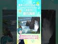 その12 「碁石海岸」 岩手で行くべき52ヵ所 shorts