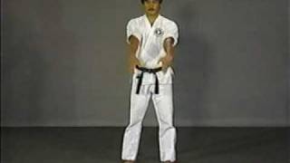 Shorin Ryu Chinto Kata