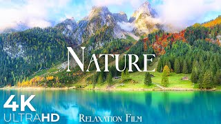 Nature Relaxation Film 4K • Beautiful Relaxing Music •  Ultra HD