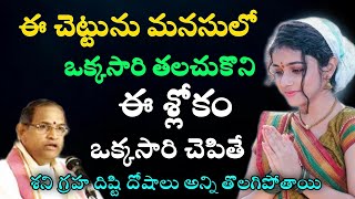 ఈ చెట్టును మనసులో ఒక్కసారితలచుకొని ఈ శ్లోకం చెపితే శని గ్రహ దిష్టి దోషాలు అన్ని తొలగిపోతాయి Chaganti