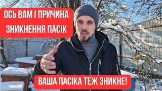 ПРИЧИНА ЗНИКНЕННЯ ПАСІК! ВИ ТАКОЖ ВТРАТИТЕ ПАСІКУ, ЯКЩО НЕ ЗРОБИТЕ ВИСНОВКИ