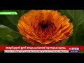 അധ്യാപകര്‍ക്കായി ഇന്ന്‌ രാഷ്ട്രപതി ഭവനിലെ അമൃത്‌ ഉദ്യാന്‍ തുറന്നുകൊടുക്കും