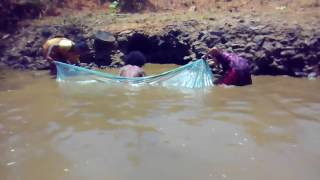 Kandhamal  fish keeping