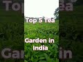 Top 5 Tea garden of India 🌱🌱 #viral #youtube #masters_idea #knowledge