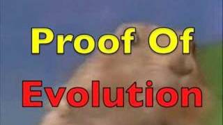 Evolving Gopher