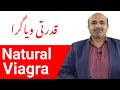 What Is Natural Viagra & How It Works | قدرتی ویاگرا