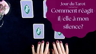 COMMENT REAGIT-IL/ELLE A MON SILENCE ? - Tirage de Kipper a choix