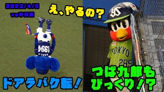 つば九郎もびっくり？ドアラがバク転の封印を解く！　2022/4/5 vs中日ドラゴンズ