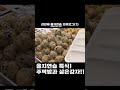 김진태 강원도지사 을지연습 브이로그 shorts