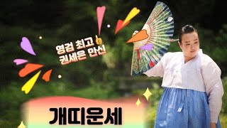 운세 뭐보니?! 2022년 흑호의 해 임인년 하반기 #개띠 운세