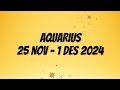 Zodiak Aquarius 25 November - 1 Desember 2024