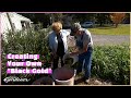 Sustainable Agriculture Practice for Container Gardening | Volunteer Gardener