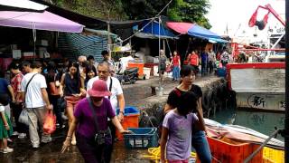 大溪漁港賣魚哥現撈海鮮