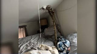 WWNY Branches crash through roof, narrowly miss Clarkson student's head