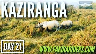 DAY 21 | Kaziranga National Park