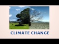 5 Facts About Climate Change in the Caribbean (Bz Empasis)