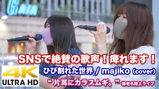 【4K】SNSで絶賛の歌声！痺れます！　ひび割れた世界 / majiko（cover）  \