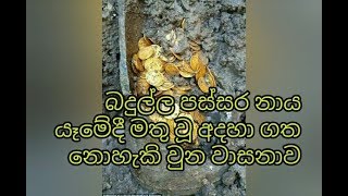 බදුල්ල පස්සර නාය යෑමේදී මතු වූ අදහාගත නොහැකි වුන නිදානය