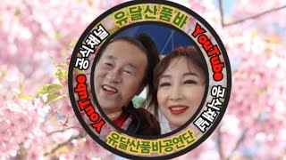 8대품바 유달산♡경아품바 구례산수유축제.  마지막날