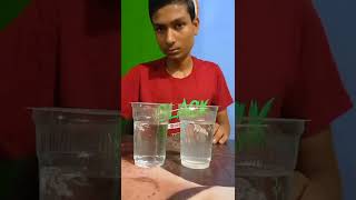 Salt Water Vs Ujala Experiment | Ujala Vs Salt Water | Easy Science Experiments #shorts #experiment