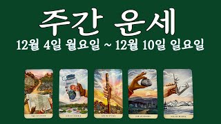 [타로/주간운세] 12월 둘째 주/직장/금전/시험/관계/애정/컨디션