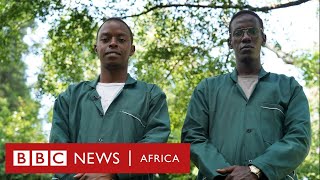 How to grow your own food from your balcony - BBC Africa