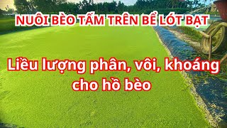 Hướng dẫn bón phân cho bèo tấm xanh tốt