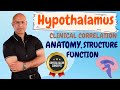 Hypothalamus | Anatomy  | Structure | Function | Neurology🩺