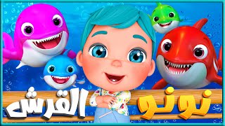 بيبي شارك توت توت عربي جديد - اغاني الحيوانات - اغنية طفل القرش #babyshark دق دق الباب الثعلب والذئب