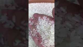 Perfurm jasmine long grain white rice - riz- arroz