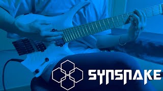 Synsnake - Prism ( Guitar Cover)