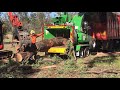 Bandit Chippers - MAXIMUM CAPACITY with Australian Hardwood - crazy hard timber!