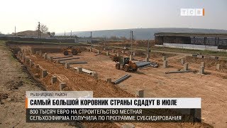 Самый большой коровник страны сдадут в июле